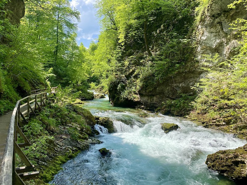 Reserved Vintgar circuit — Gorge — Highlights of Slovenia — Slovenia
