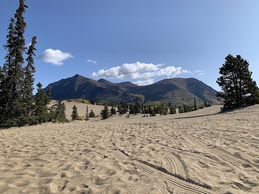 Carcross Desert