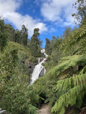 Steavenson Falls