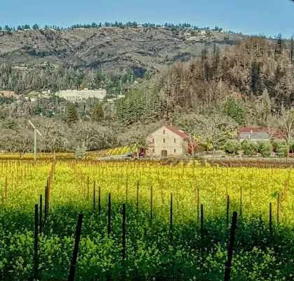 St. Helena — City — Napa Valley Wine Road — United States