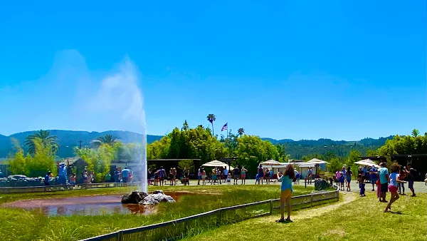 Old Faithful Geyser of California — Nature — Napa Valley Wine Road — United States