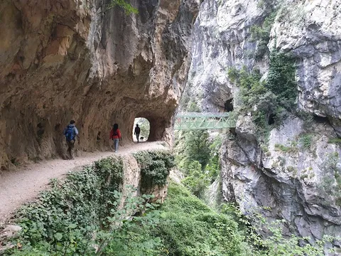 Cares Gorge — Nature — Picos de Europa — Spain