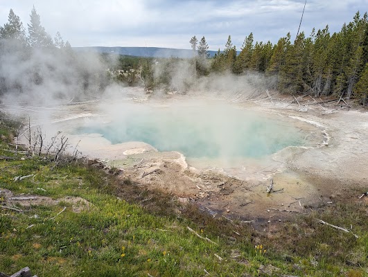 Norris Geyser Basin