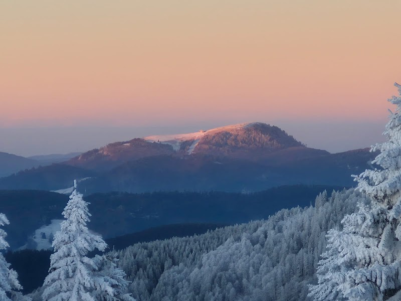Feldberg