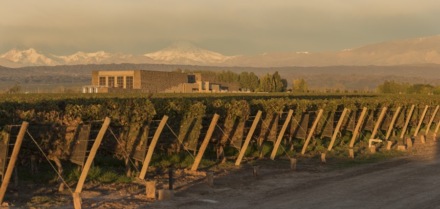 Restaurant at Bodega Séptima