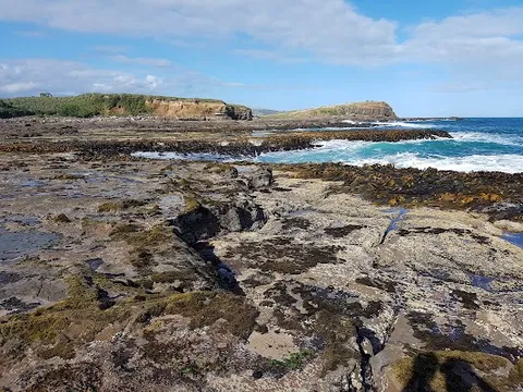 Curio Bay — Nature — Southern Scenic Route — New Zealand