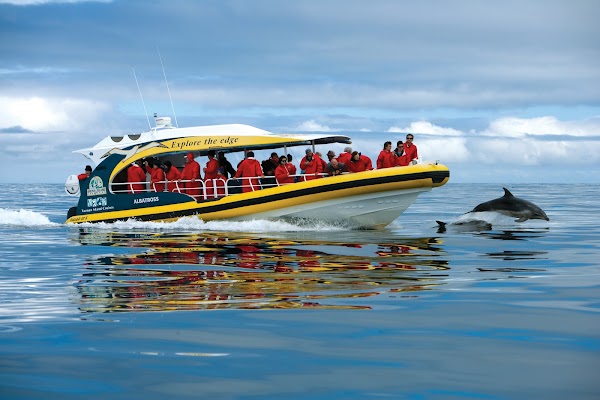 Bruny Island Cruise