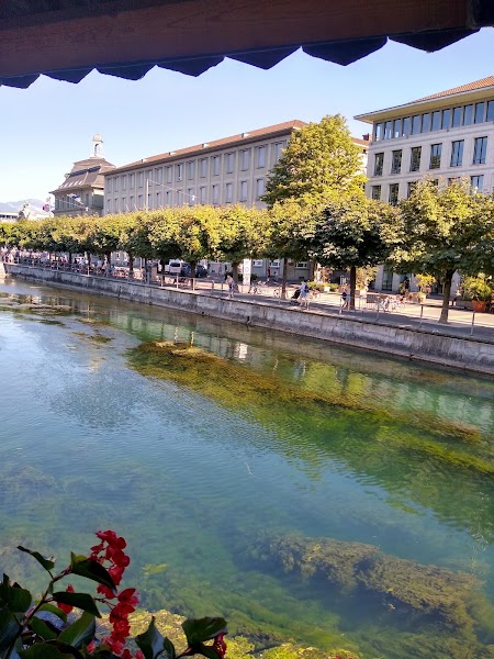 Lucerne