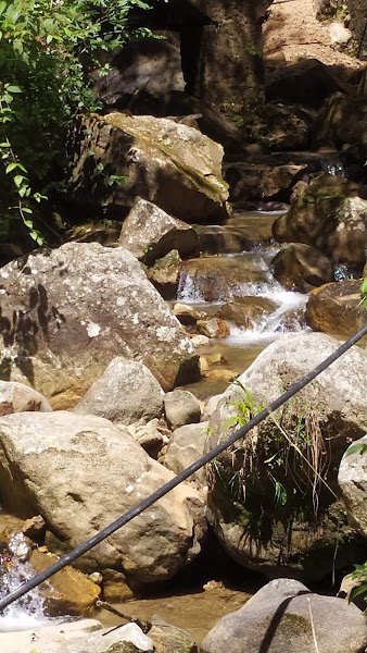Los Chorros de Milla — Nature — Mérida Andes and Sierra Nevada — Venezuela