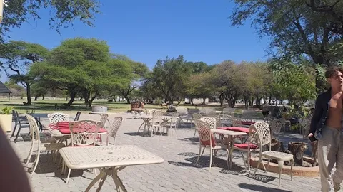 African Fusion Restaurant — African — Etosha Pan Circuit — Namibia