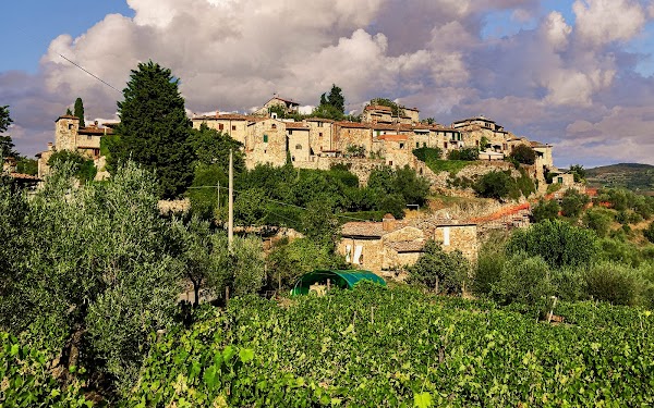 Montefioralle