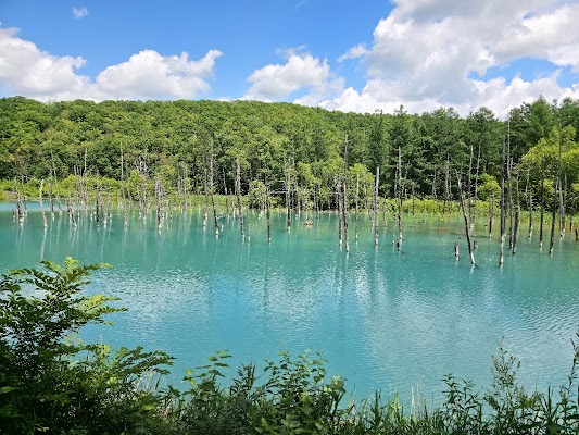 Shirogane Blue Pond