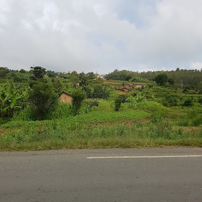 Kivumu