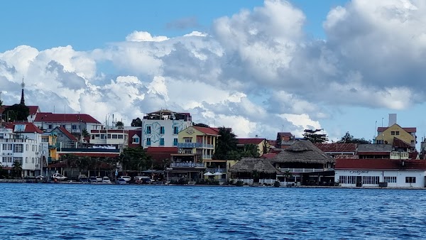 Santa Elena, Flores