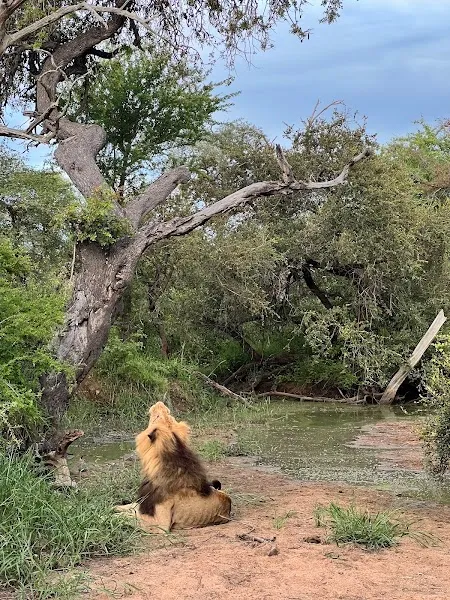 Hoedspruit — Arrival — Panorama Route — South Africa