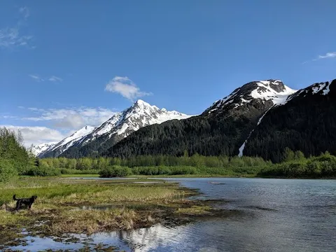 Portage Valley — Nature — Seward Highway — United States