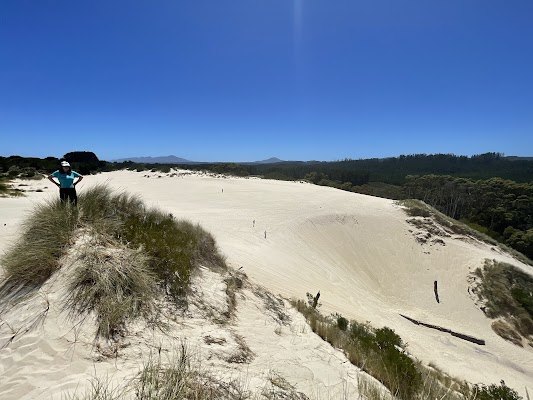 Henty Dunes