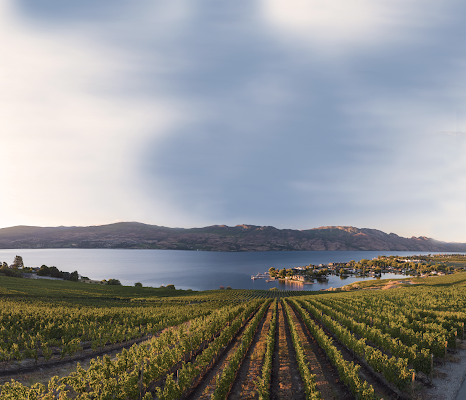 Quails' Gate Winery Tasting Experience