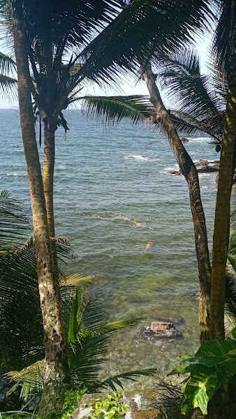 Blanchisseuse — City — Trinidad North Coast Road — Trinidad and Tobago
