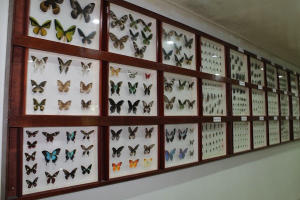 Kipandi Butterfly Park