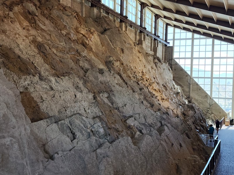 Quarry Exhibit Hall fossil wall — Paleontology — Dinosaur Diamond Prehistoric Highway — United States