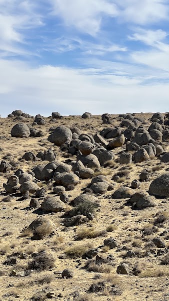 Torysh — Nature — Mangystau and Ustyurt Plateau — Kazakhstan