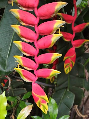 Spice Plantation Tour