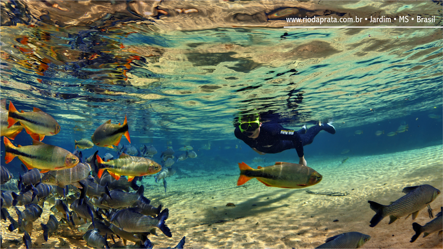 Snorkel Rio da Prata
