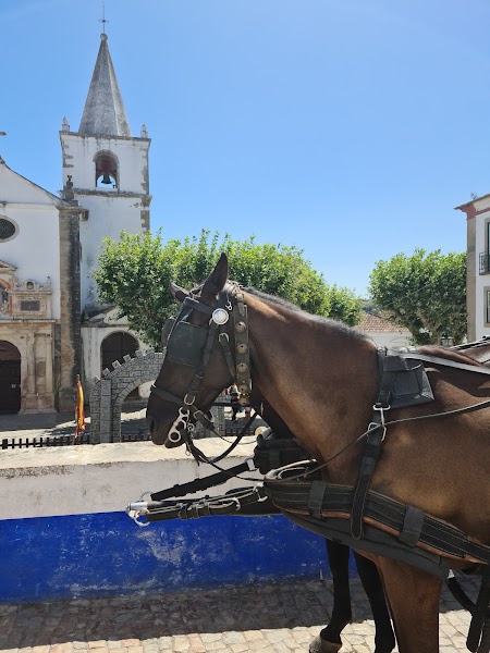 Óbidos walls and old town — Historic town — Lisbon to Porto — Portugal