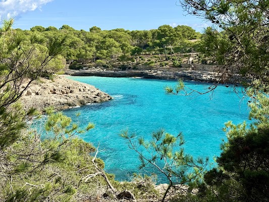 Mondragó Natural Park