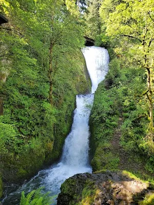 Bridal Veil Falls State Scenic Viewpoint — Nature — Historic Columbia River Highway — United States