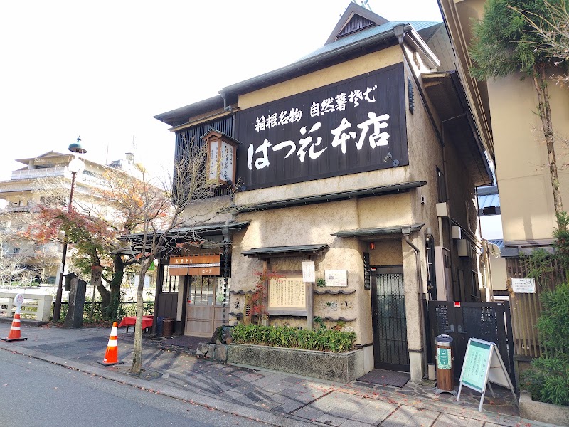Hatsuhana Soba Honten — Hakone soba — Fuji Kawaguchi-Hakone-Odawara Traverse — Japan