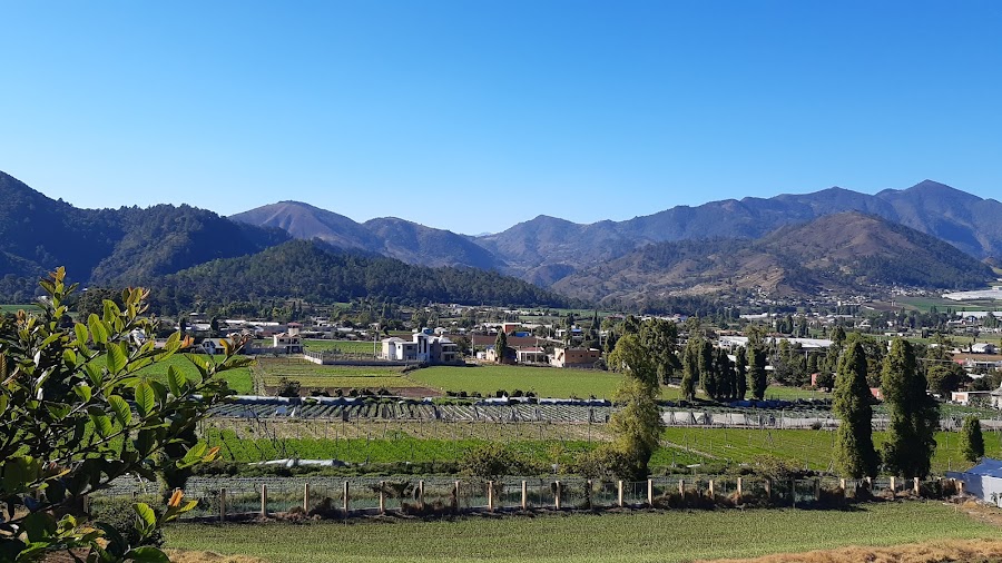 Constanza