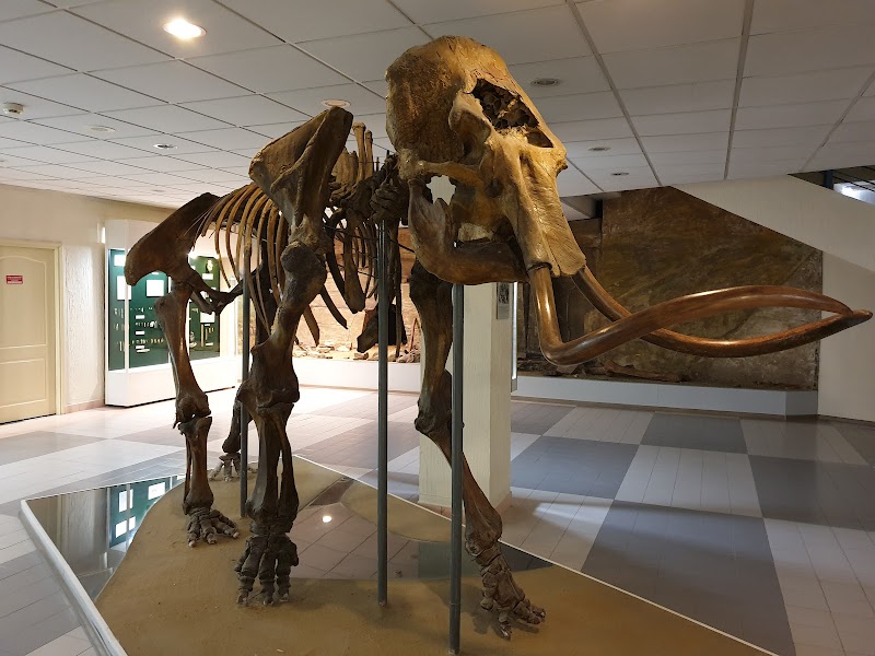 Yakutsk Mammoth Museum