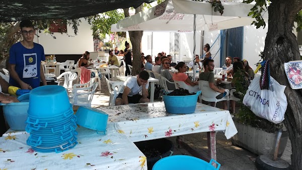 Trattoria Le Taiate