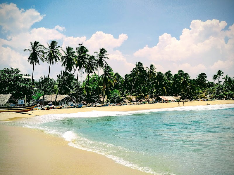 Surf Arugam Bay Main Point — Surfing — Из Тринкомали в Арugam Bay по восточному побережью — Шри-Ланка