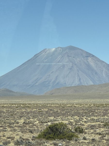 Pampa Cañahuas National Reserve
