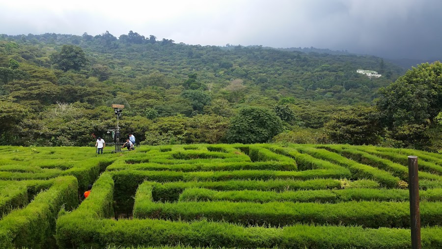 Cerro Verde or Apaneca viewpoints