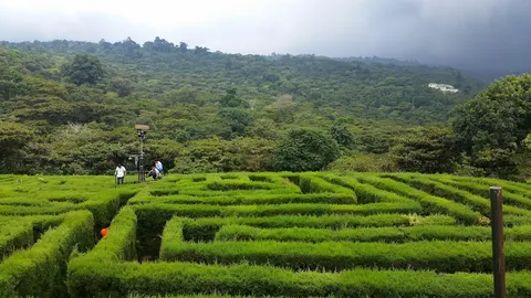 Apaneca viewpoints — viewpoint — Ruta de las Flores — El Salvador