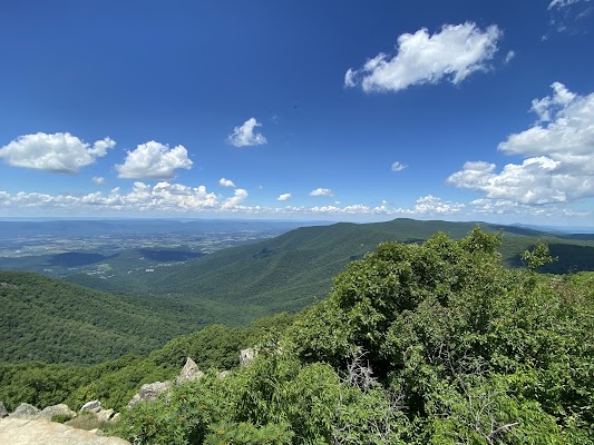 Hawksbill Summit Trail