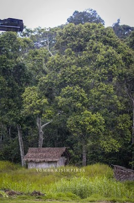 Goroka