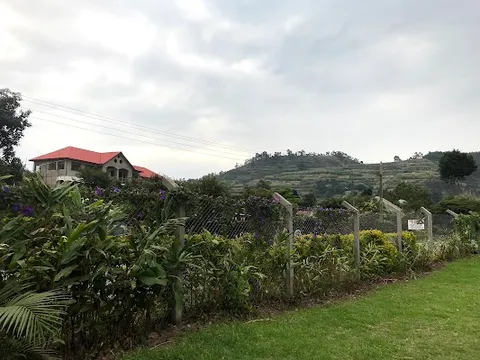 Kisoro — City — Uganda Fort Portal to Bwindi — Uganda