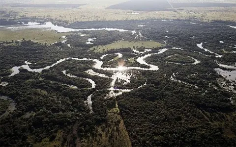 Birdwatching at Pixaim River — Birdwatching — Transpantaneira — Brazil