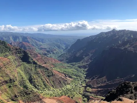 Pu'u Hinahina Lookout (conditional) — Nature — Waimea Canyon Drive — United States
