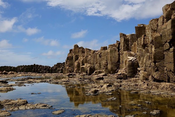 Bombo Headland Quarry Geological Site