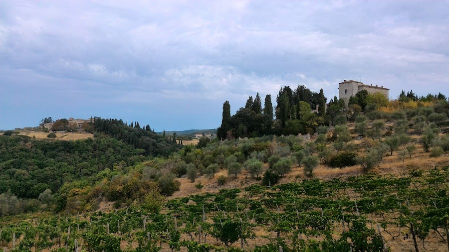 Castellina in Chianti