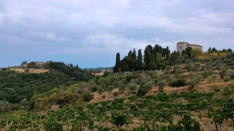 Castellina in Chianti — City — Chianti Road — Italy
