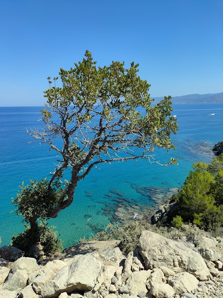 Aphrodite Trail hike — hiking — Troodos Mountains and Akamas Peninsula — Cyprus