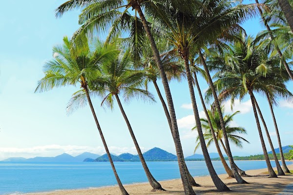 Palm Cove