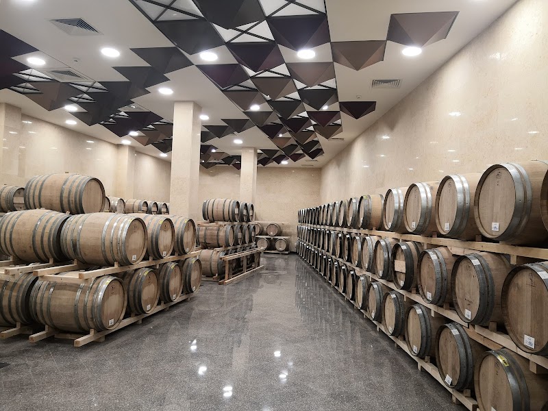 Wine tasting in Omodos — food and drink — Troodos Mountains and Akamas Peninsula — Cyprus
